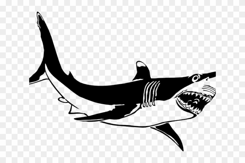 Great White Shark Clipart Vector - Tubarão Preto E Branco #1074984