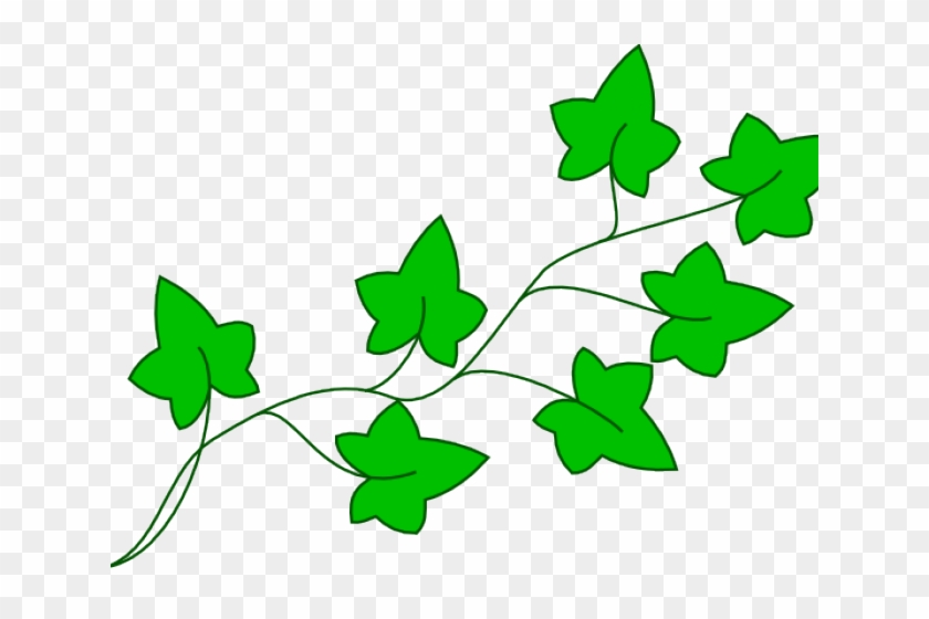 Vine Clipart Cartoon - Clip Art Aka Ivy Leaf #1075127.