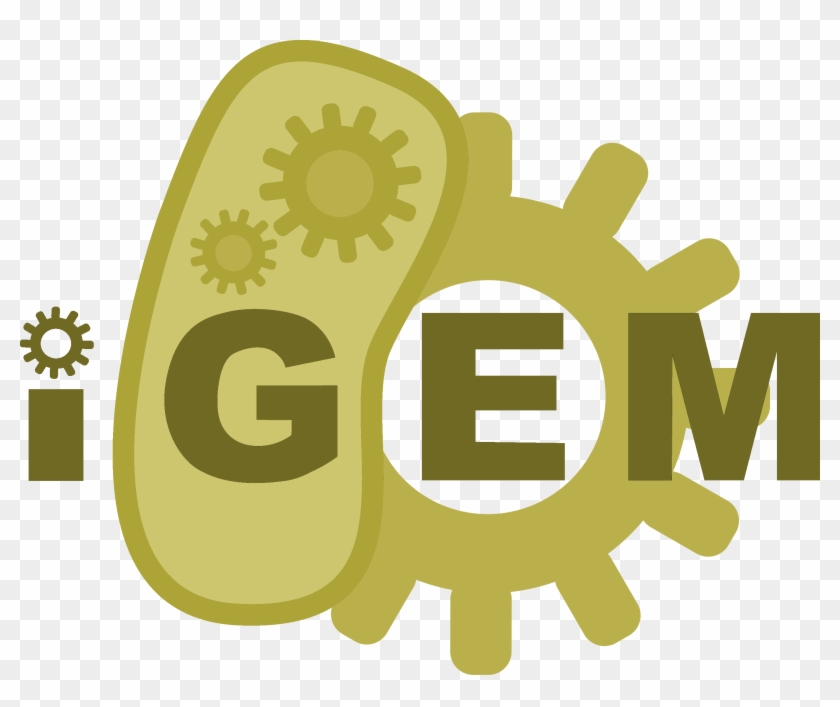 Expand On Your Silver Medal Gold Shield Png - International Genetically Engineered Machine #1075683