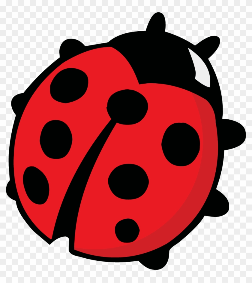 If - Ladybug Drawing #1075825