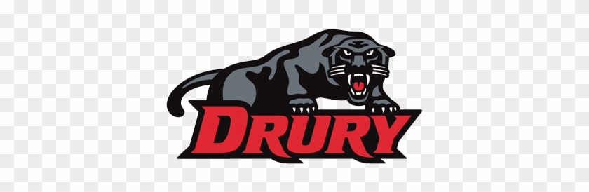 Drury Panthers Women's Basketball- 2018 Schedule, Stats, - Drury University Panthers #1076210