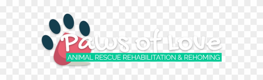 We Rescue, Rehabilitate And Re-home Lost And Abandoned - Animal Rescue Group #1076716
