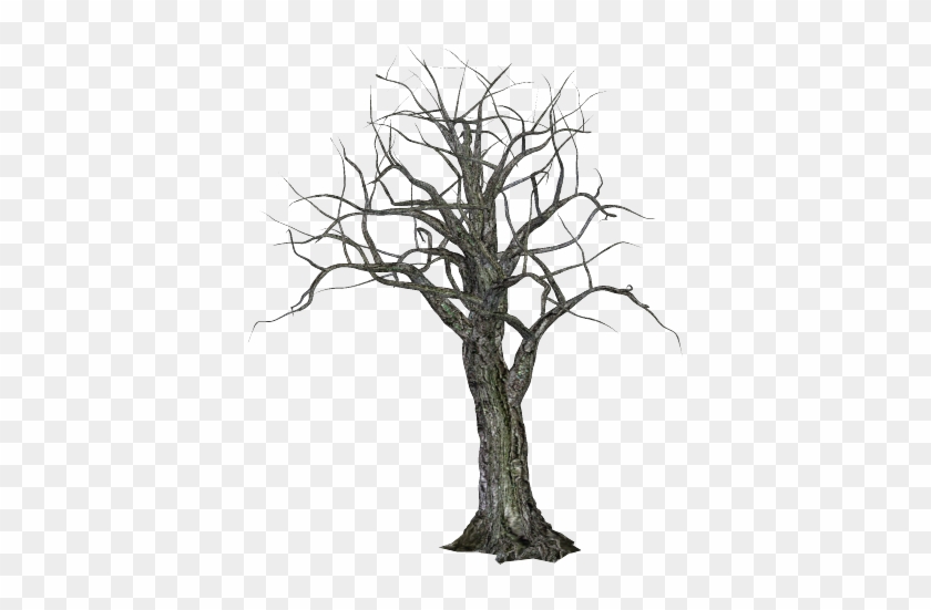 Spooky-tree - Scary Tree Png #1077096