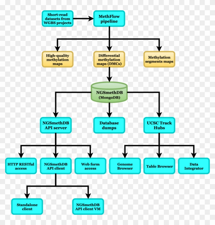 Data Flow Diagram For Ngsmethdb Indicating The Source - Data Flow Diagram For Database #1077334