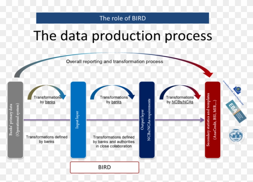 Bird About The Bird Rh Banks Integrated Reporting Dictionary - Diagram #1077340