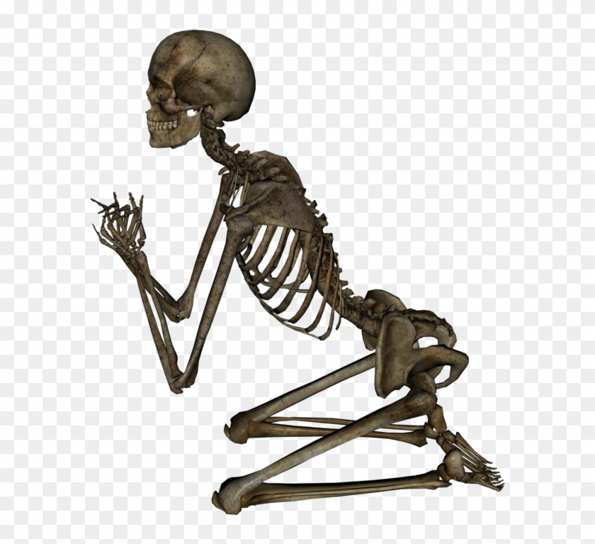 View Samegoogleiqdbsaucenao Skeleton , - Skeleton #1077653