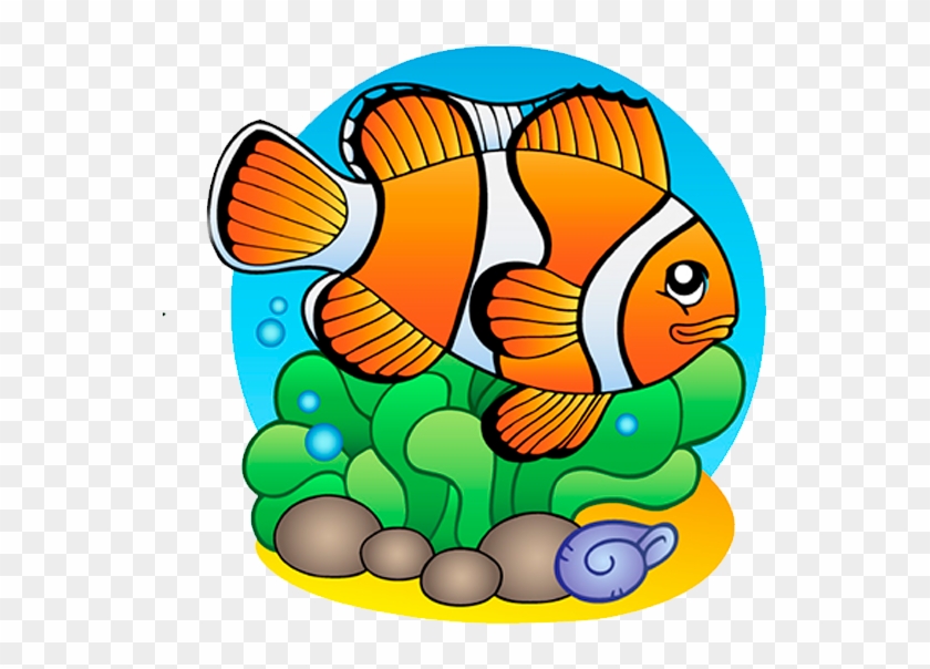 Fish Vector #1077767