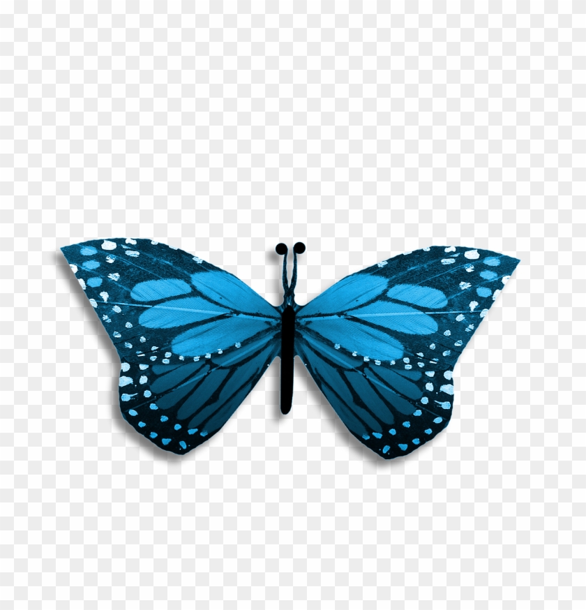 Butterfly Blue Drawing Abstract Png Image - Valentines Butterfly #1077998