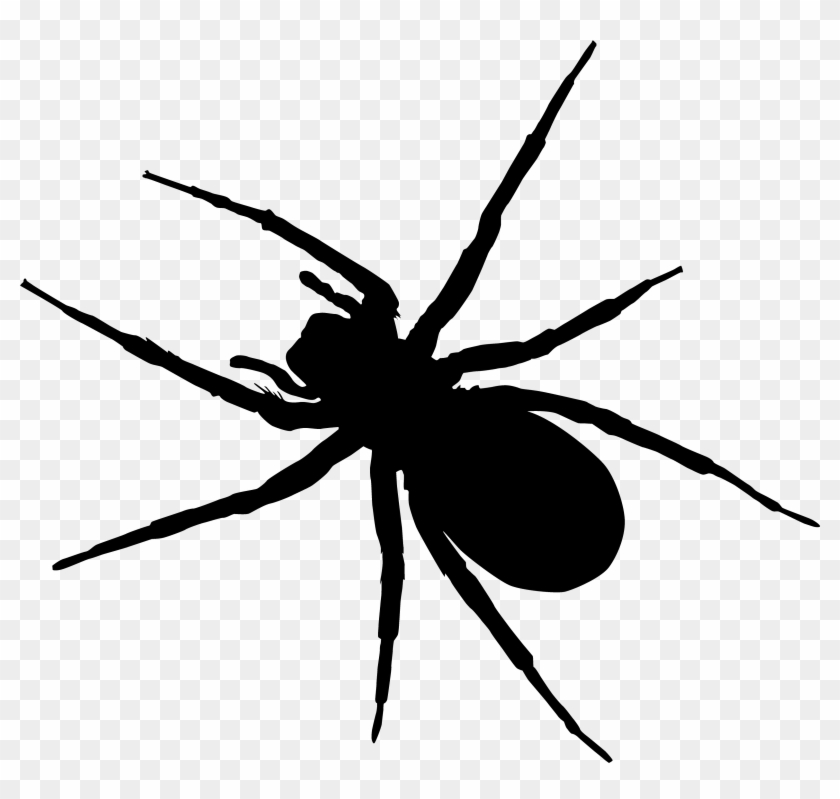 Spider Pest Control - Clipart Transparent Ant On Transparent Background #1078084