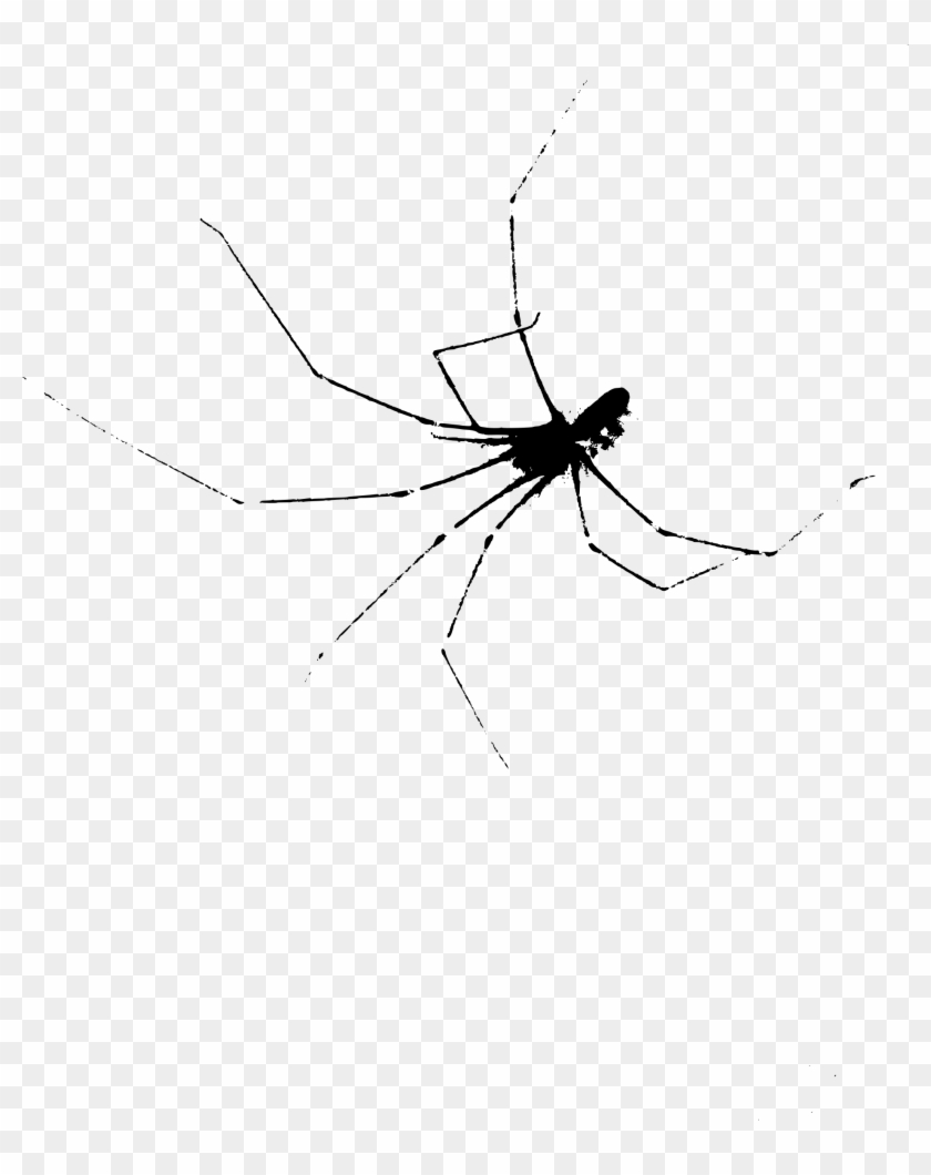 Scary Spider - Spider Web #1078097