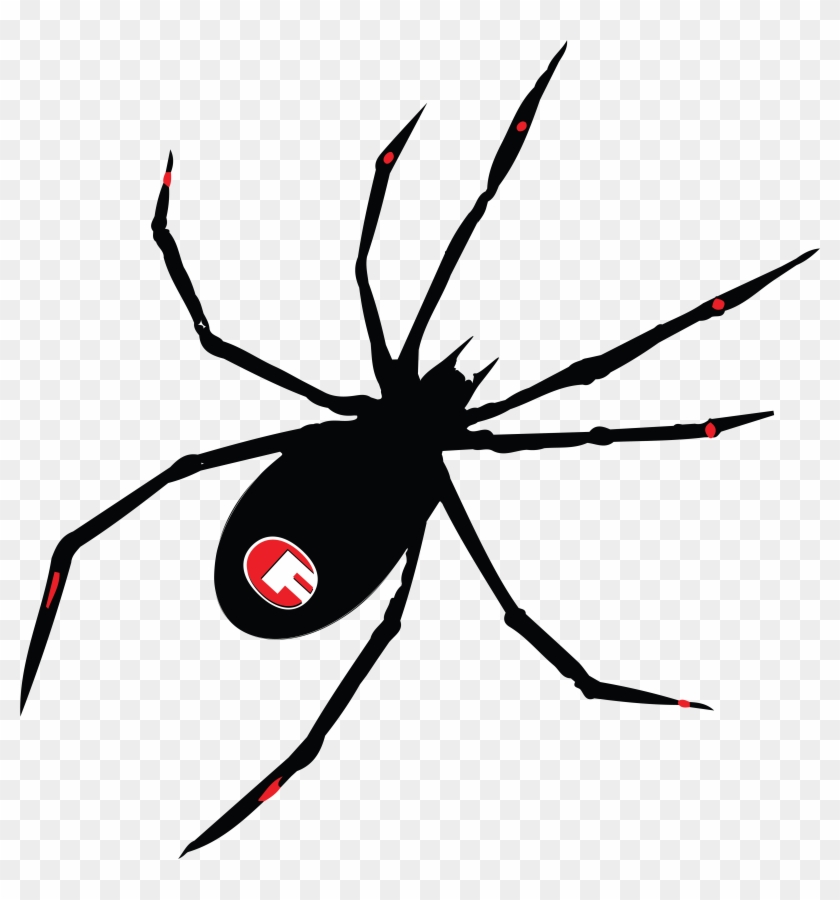 Spider Decal-02 - Schwarzes Widow.png Karte #1078106