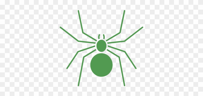 Pest Control For Spiders - Circle #1078107