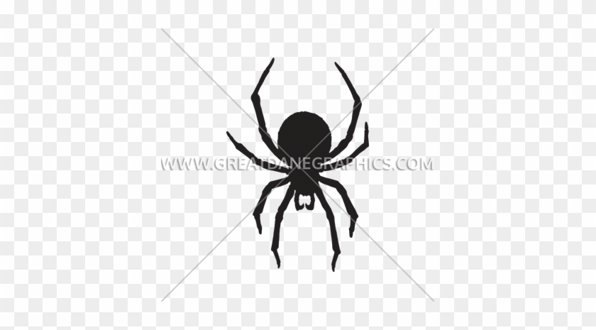 Halloween Spider - Araneus Cavaticus #1078125