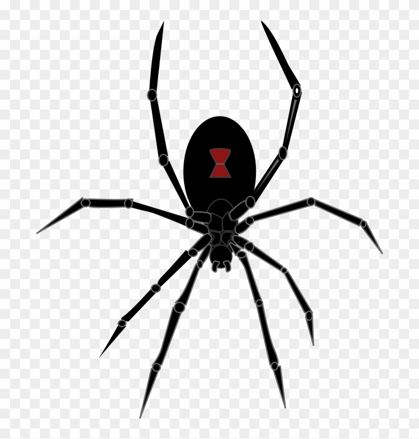 Black Widow Spider - Black Widow Spider Drawing #1078128