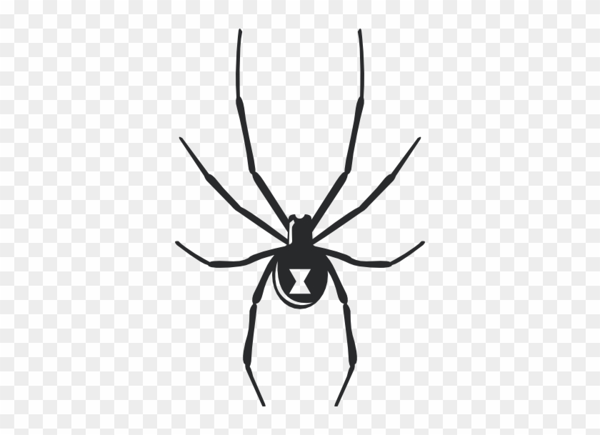 Black Widow Spider Halloween Wall Decal - Black Widow Spider Drawing #1078163