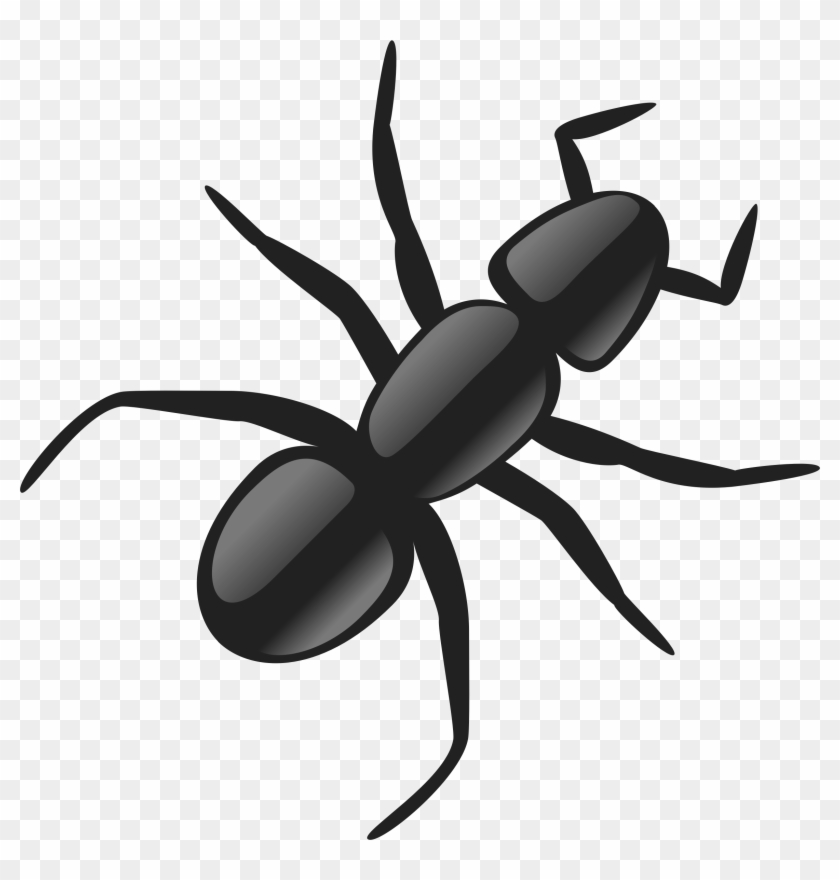 Insect Clipart Spider - Ant Clip Art #1078205