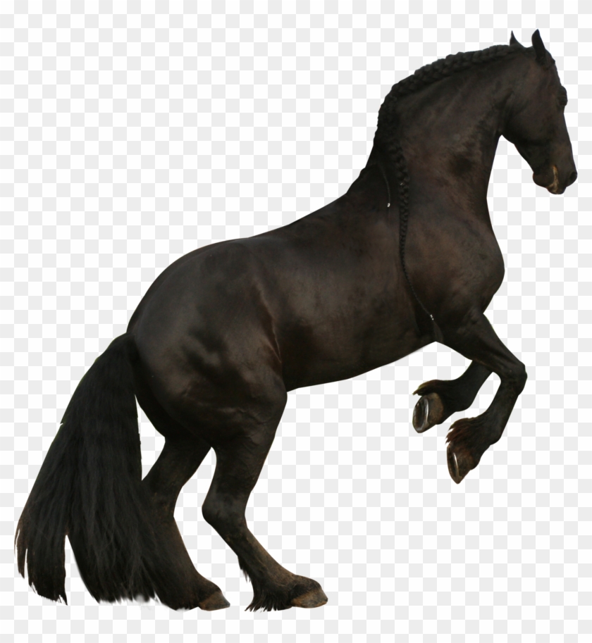 Mustang Friesian Horse Clydesdale Horse Stallion American - Horse #1078309