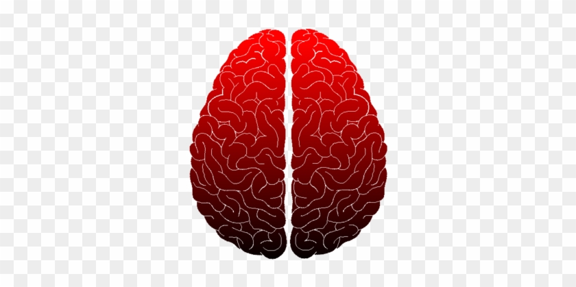Brain Icon Red By Marindalechat - Brain #1078903