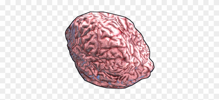 Fresh Brain - Rust Brain Rock #1078910