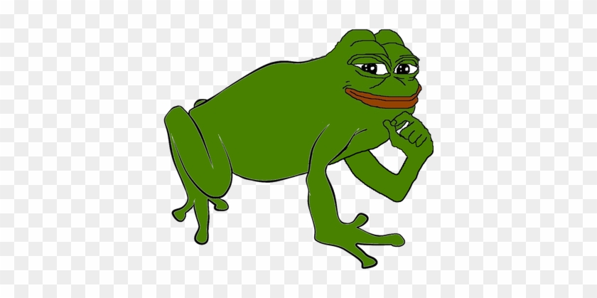 Pepe The Frog Frog #1078984