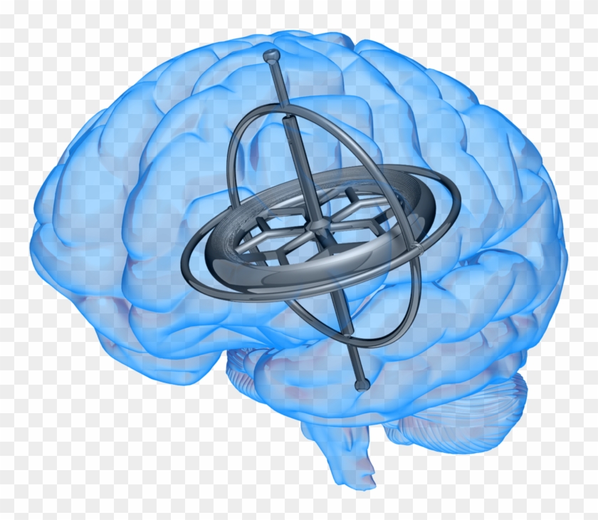 Brain With Gyroscope Inside - Gyroscope Brain #1079106