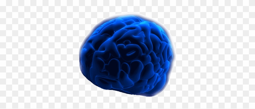Brain Basics - Blue Brain #1079186
