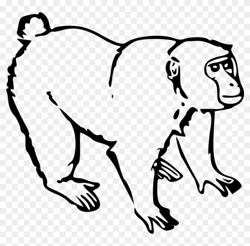 Clipart - Gorilla Ape - Baboon Black And White #1079222