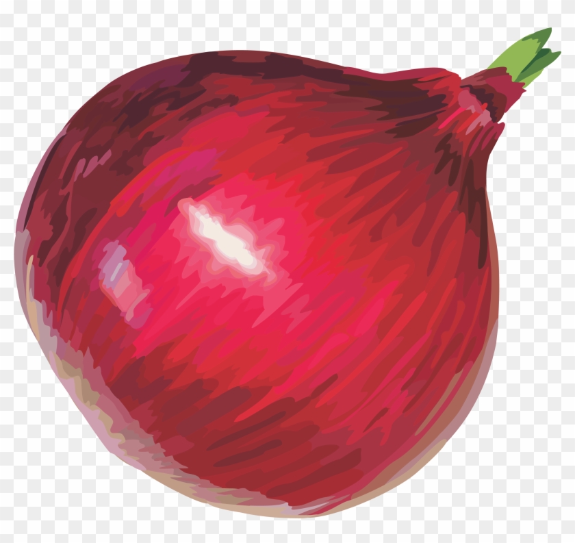 Clipart Of Onion - Red Onion Png #1079732