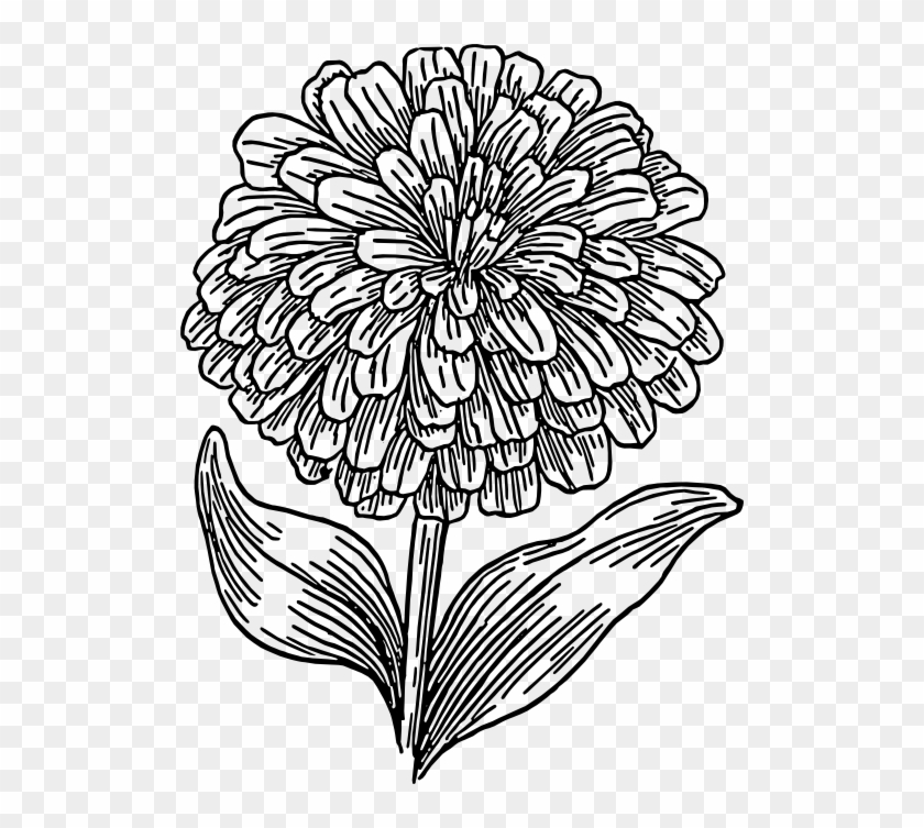 Marigolds Coloring Page #1079737