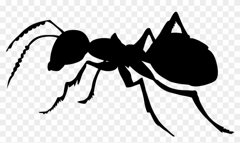 Ants - Ant Png Black And White #1079921