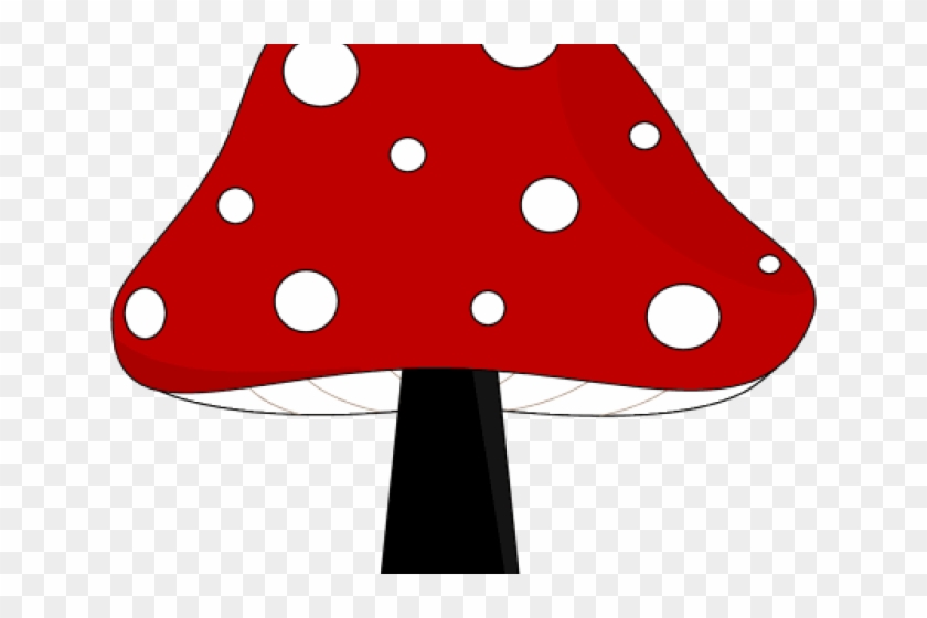 Mushroom Clipart Mashroom - Real Mushrooms Clipart #1079944