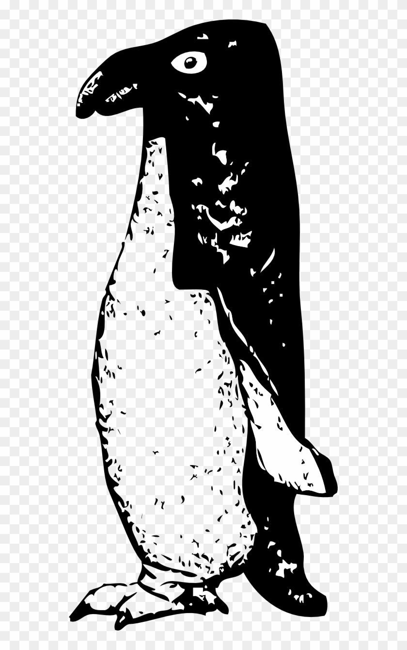 Funky Penguin Black White Line Art 555px - Clip Art #1079975