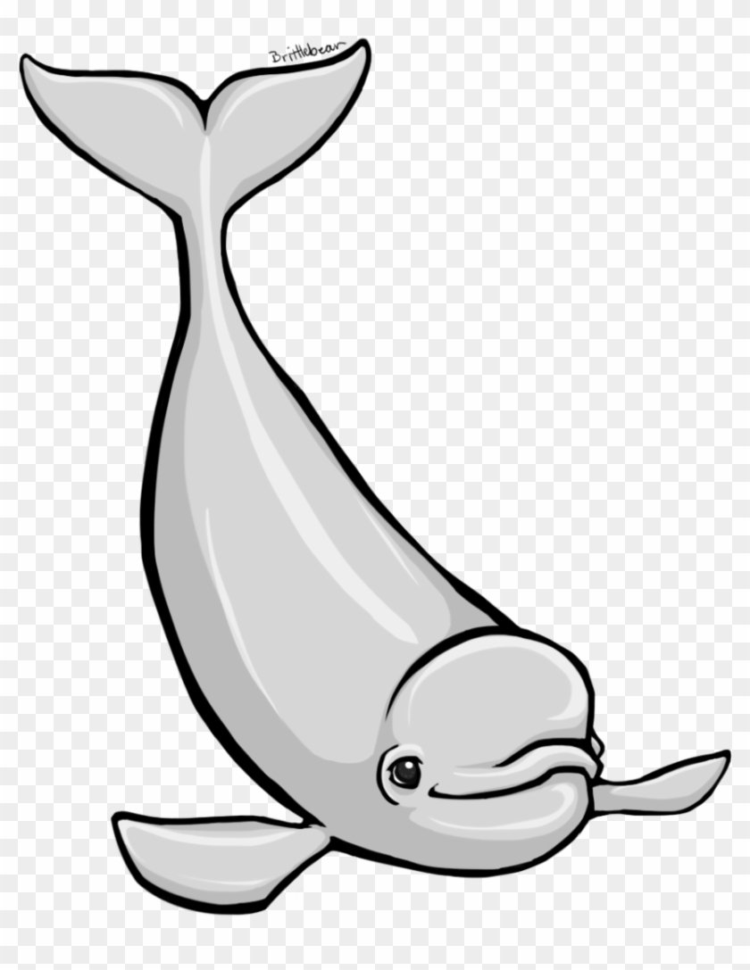 Beluga Whale Clipart - Cartoon Beluga Whale #1080025