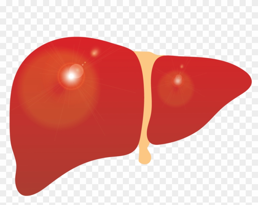 6 Steps To Rebuild Your Gut Health - 6 Steps To Rebuild Your Gut Health #1080690