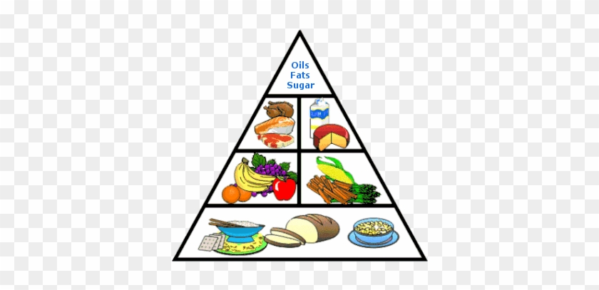 Grain Clipart Balanced Diet - 5 Food Groups Table #1080748