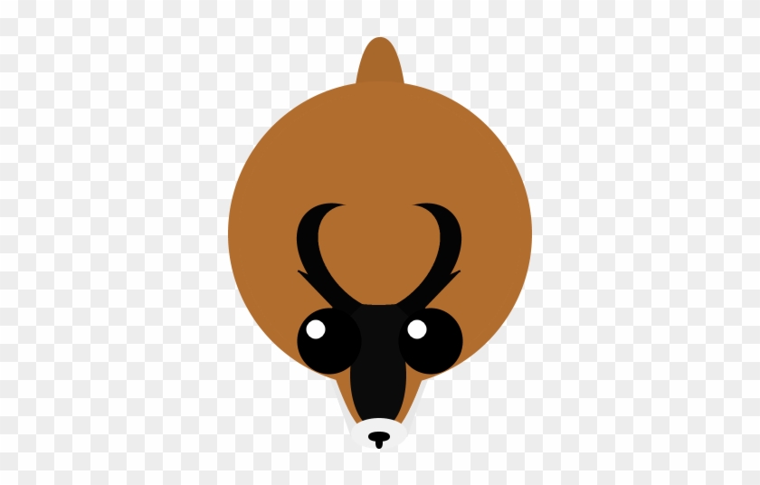 Pronghorn - Information Technology #1080981