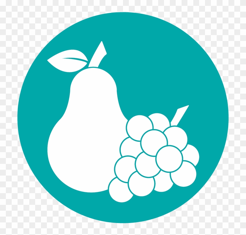 Nutrition - Illustration #1081482