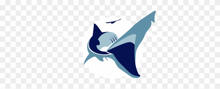 Sea Wild Scotland Logo - Sea Wild Scotland #1081758