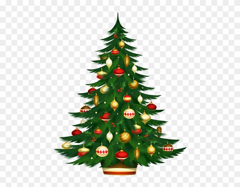 Christmas Tree Photos - Christmas Tree Png #1082077