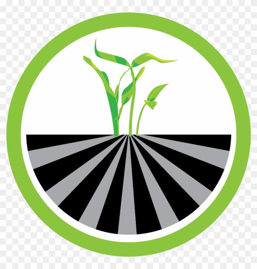 Vector Graphics #1082176