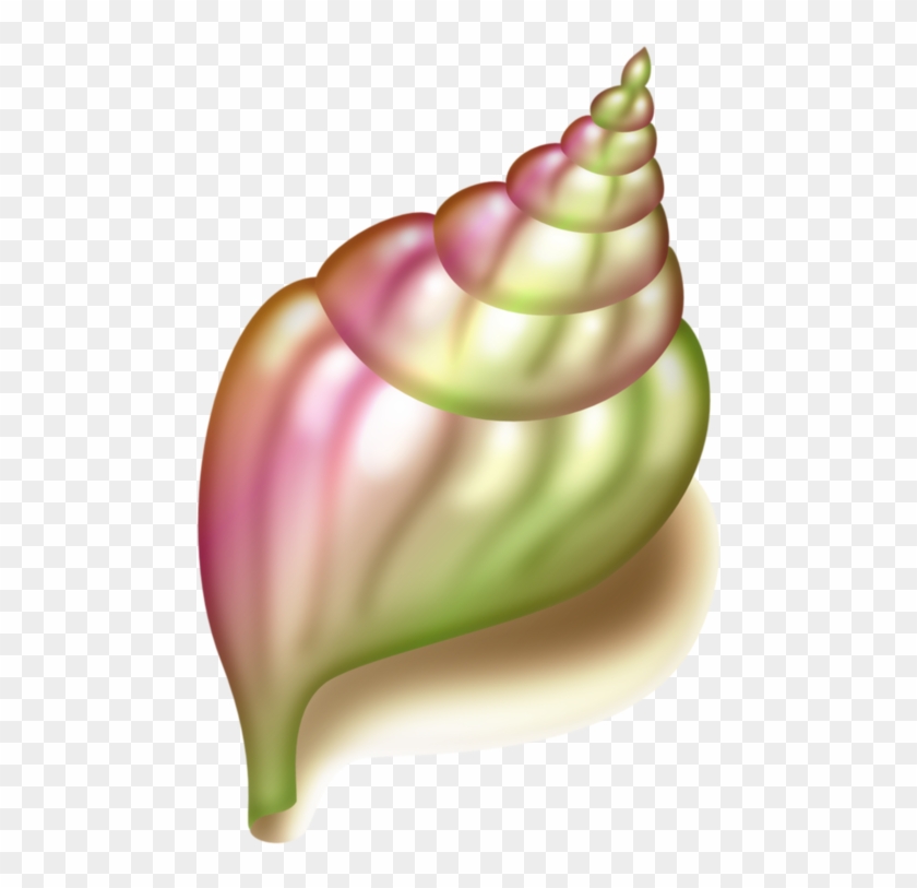 Seashell Conch Clip Art - Vegetable #1082199
