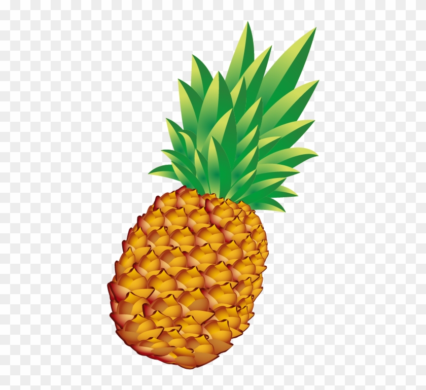 Pineapple Bun Euclidean Vector - Giant Set Of Vector Fruits. Clear Rectangle Magnet #1082202