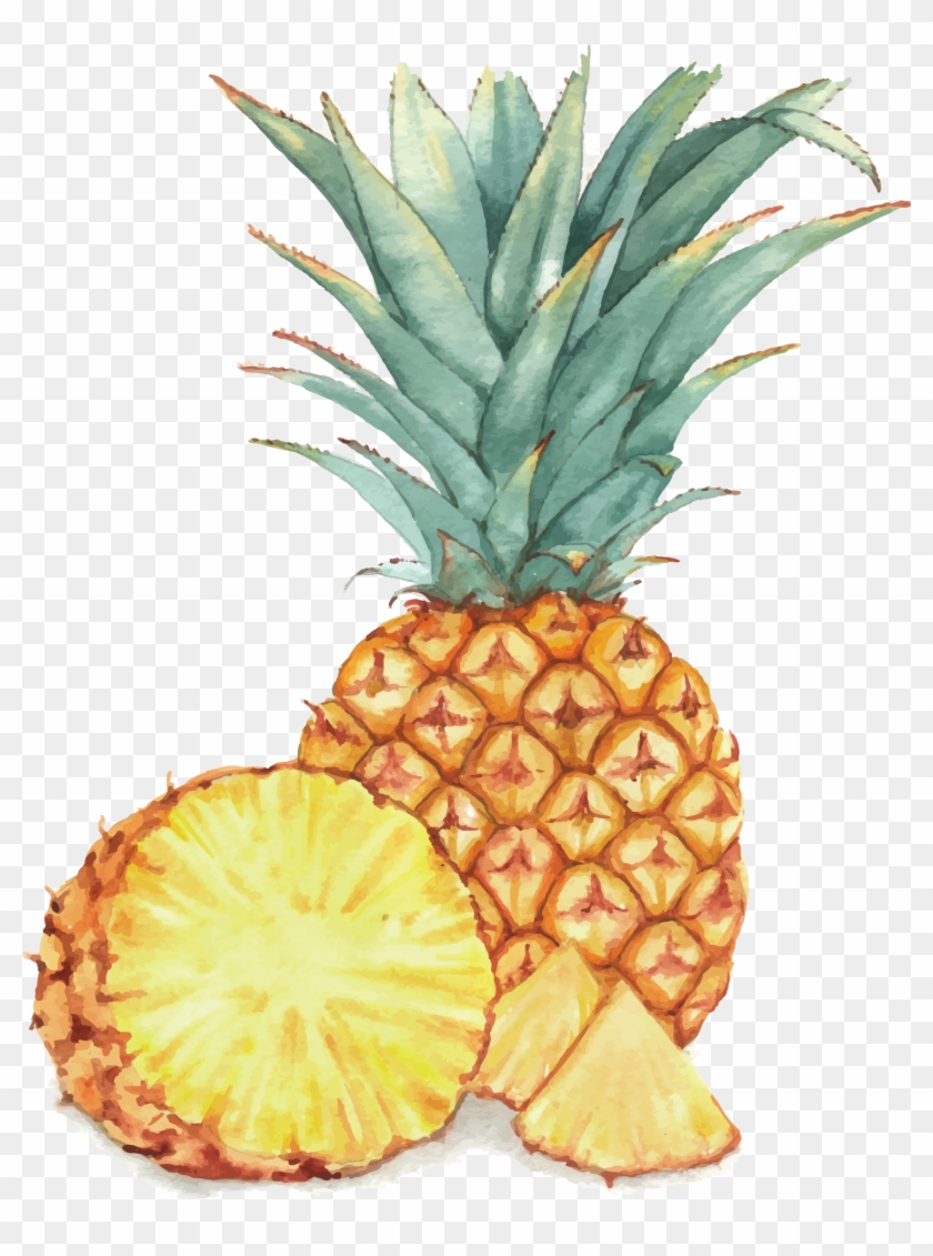 Watercolor Painting Fruit Drawing Illustration - Png Vector Pineapple Free #1082205