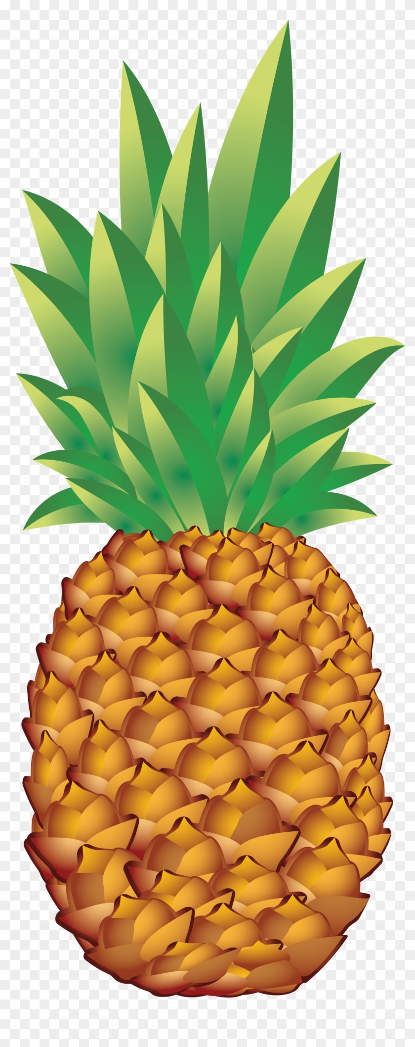 Pineapple Png #1082206