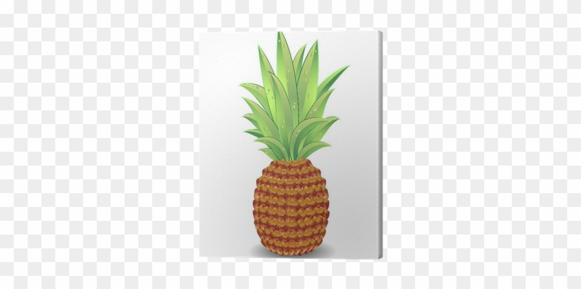 Pineapple #1082213