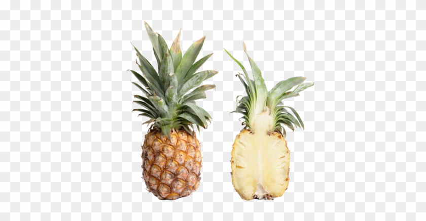 Pineapple Psd - Double Pineapple Samsung Galaxy S5 Slim Case #1082219