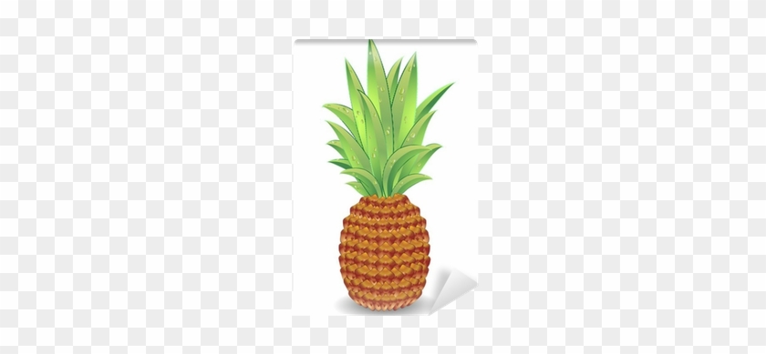 Pineapple #1082220