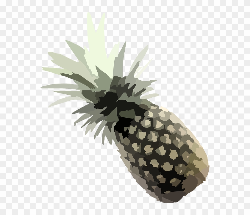 Source - Www - Clker - Com - Report - Pineapple Vector - Pineapple Clip Art #1082237