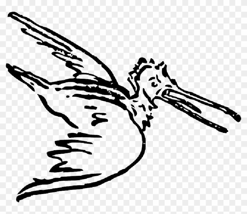 Cartoon, Bird, Flying, Snipe, Fly, Wings, Beak - Scary Bird Cartoon #1082514