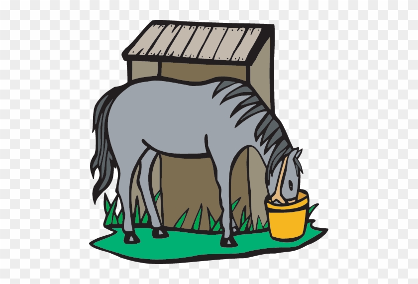 Horse Eating - Horse Eating #1083057